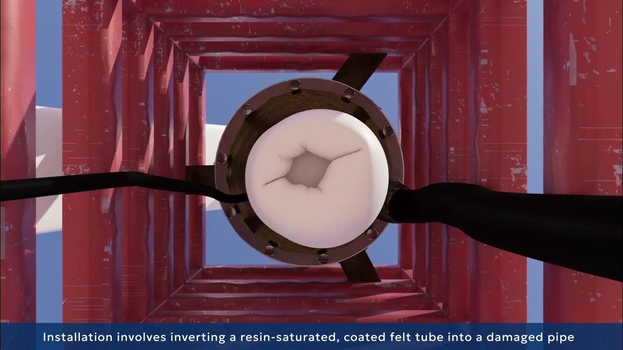 Image Title
